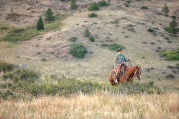 horseback riding in mountains