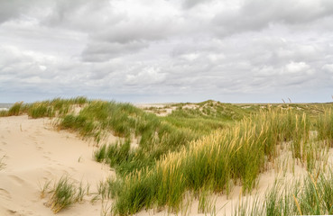 beach scenery at Spiekeroog