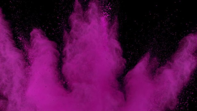 Realistic fuchsia powder dust explosion on black background. Slow motion movement of dust remains engulfing screen