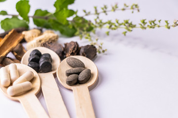 Ayurvedic medicine concept. Close-up shot of ayurvedic medicine tablets and capsules in wooden spoons with assorted Indian Spices and tulsi on white background