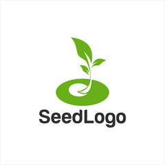 Growing Seed Logo Designs Vector Seed Stock Vector 