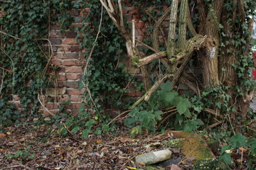 Alte Backsteinwand verlassenes Haus