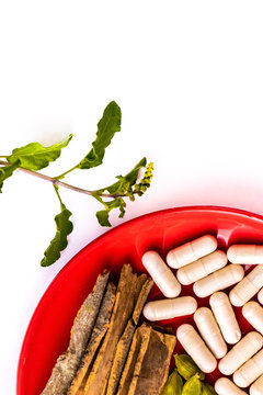 Herbal Medicine Concept. Cinnamon, Cardamom And Ayurvedic Capsule In A Plate On White Background