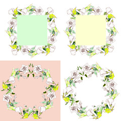 set of wreaths and frames of white tender bindweed painted by watercolor and liner