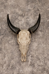 head skull of a bull with carved patterns and horns on the background of textured walls