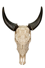 the head is a bull skull with carved patterns and horns on a white isolated background