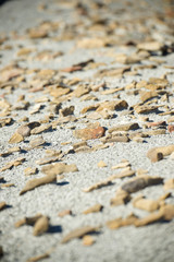 Arid landscape view