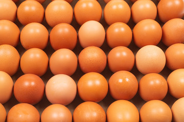 Group of raw brown eggs.