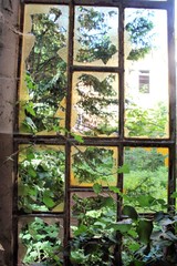 2019.06.13 - Limbiate, Milan, Italy, photographic reportage asylum in Mombello, abandoned psychiatric hospital window with broken glass and greenery in the background