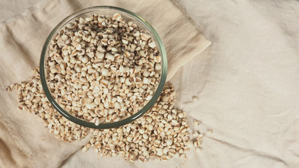 Job's Tears, also known as adlay and coix on calico background. Popular in Asian cultures as a food source.