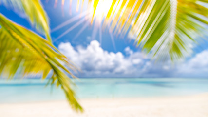 Fototapeta na wymiar Beach abstract blur defocused background, toned gently blue, nature of tropical summer, rays of sun light. Beautiful sun glare on sea water and palm leaves against sky. Summer vacation concept.