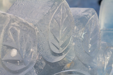 Macro shot of leaves of the plant from frozen ice in sunlight. Winter concept.