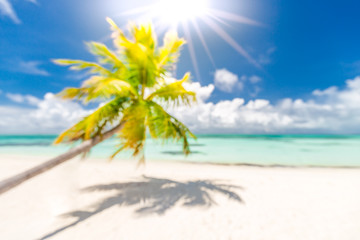 Beach abstract blur defocused background, toned gently blue, nature of tropical summer, rays of sun light. Beautiful sun glare on sea water and palm leaves against sky. Summer vacation concept.