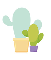 Isolated cactus plants inside pots vectort design