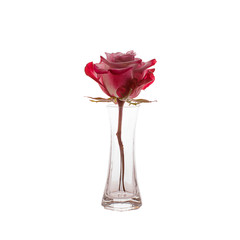 Silhouette of rose in glass vase on white background.