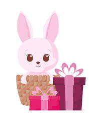 Cute rabbit cartoon with gifts vector design