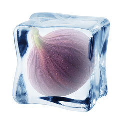 fig in ice cube, isolated on white background, clipping path, full depth of field