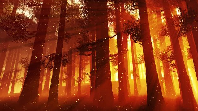 4K Miracolous Magic Forest Seamless Looping Animation