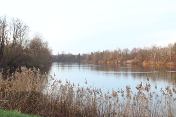 See im Sp&auml;therbst