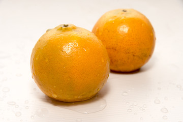 fresh oranges on a white background
