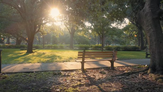 Aerial: Park bench and ray of light. Forsyth Park. Savannah, Georgia, USA.