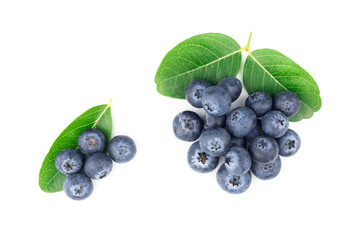 blueberries isolated on white background
