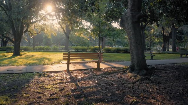 Aerial: Park bench and ray of light. Forsyth Park. Savannah, Georgia, USA.