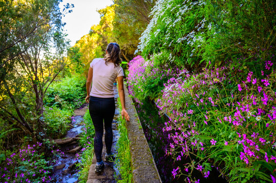 Hiking Levada trail 25 Fontes in Laurel forest - Path to the famous Twenty-Five Fountains in beautiful landscape scenery -  Madeira Island, Portugal