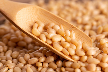 Pine nuts in a wooden spoon. Peeled Pine Nut. Pine nuts close up. Cedar.