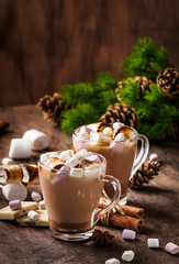 Hot cocoa or chocolate with marshmallow in glass mug and winter decoration on wooden table. Concept of cosy Christmas holidays and New Year, copy space