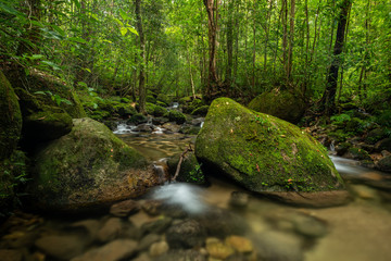 Naklejka na ściany i meble beautiful waterfall in green forest in jungle