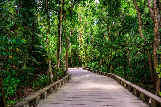 Wooden footpath and trail in tropical rain forest - close to Lio Beach, El Nido, Palawan, Philippines
