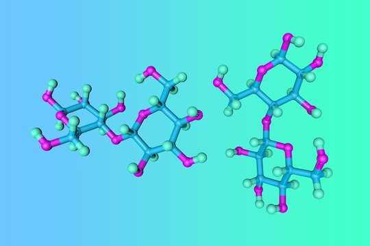 Molecular structure of cellobiose on blue background. Cellobiose is a disaccharide consisting of two glucose units. Scientific background. 3d illustration
