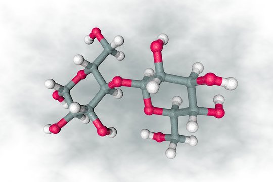 Molecular structure of cellobiose. Atoms are represented as spheres with conventional color coding: carbon (grey), oxygen (red), hydrogen (white). 3d illustration