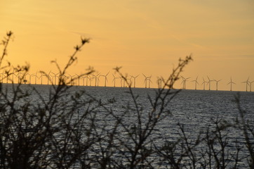 Fototapeta na wymiar Windmills power plant, harvesting wind energy