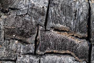 Natural burned carbonised charred wood surface flat texture