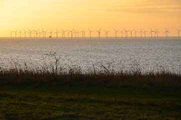 Windmills power plant, harvesting wind energy