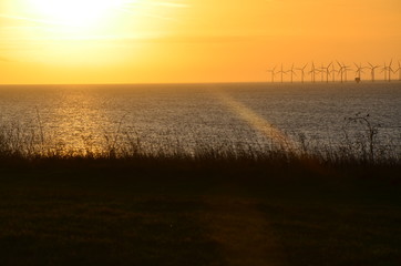 Windmills power plant, harvesting wind energy