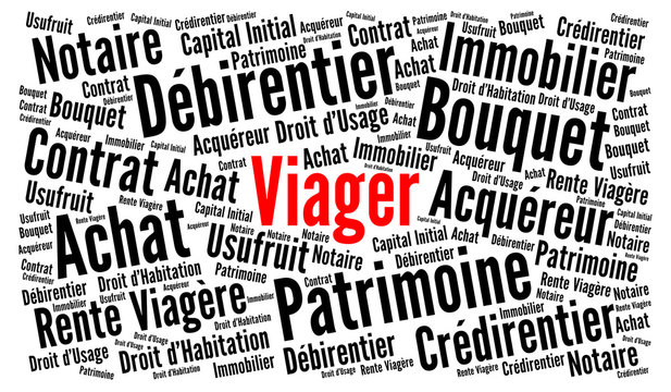 Viager nuage de mots