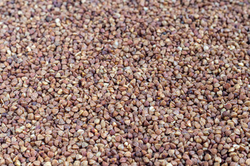 Buckwheat groats are scattered on a light background. Dark texture and background.
