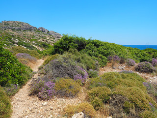 Naklejka premium Rhodos - Wandern zwischen Traganou und Ladiko Beach