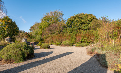 landscape in ireland park