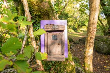 birdhouse in the forest