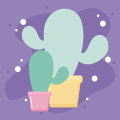 Cactus plants inside pots vectort design