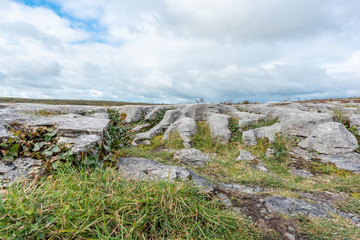 Fototapeta na wymiar ireland galway county landscape view