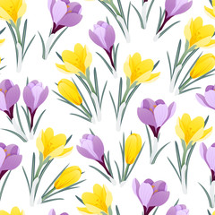 Fototapeta na wymiar Сrocus flowers (saffron). A seamless pattern with yellow and purple crocus flowers (saffron). Stock vector illustration.