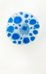 blue transparent watercolor ball on a white background