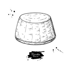 Ricotta cheese drawing. Vector hand drawn food sketch. Engraved milk product illustration.