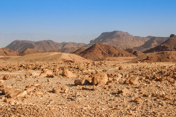 The famous Timna National Park in the desert in southern Israel in the Eilat region. Sand cliffs, dry land, red sand in the form of pillars and mushrooms. Sights of Israel.