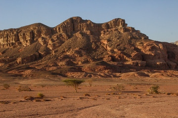 Fototapeta premium The famous Timna National Park in the desert in southern Israel in the Eilat region. Sand cliffs, dry land, red sand in the form of pillars and mushrooms. Sights of Israel.